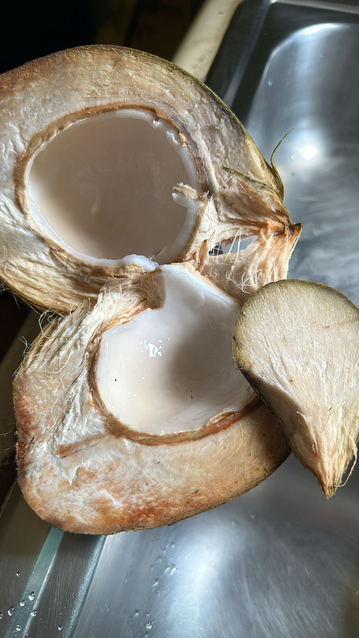 Sentient Coconut Everyday All Day – Restored Hearts